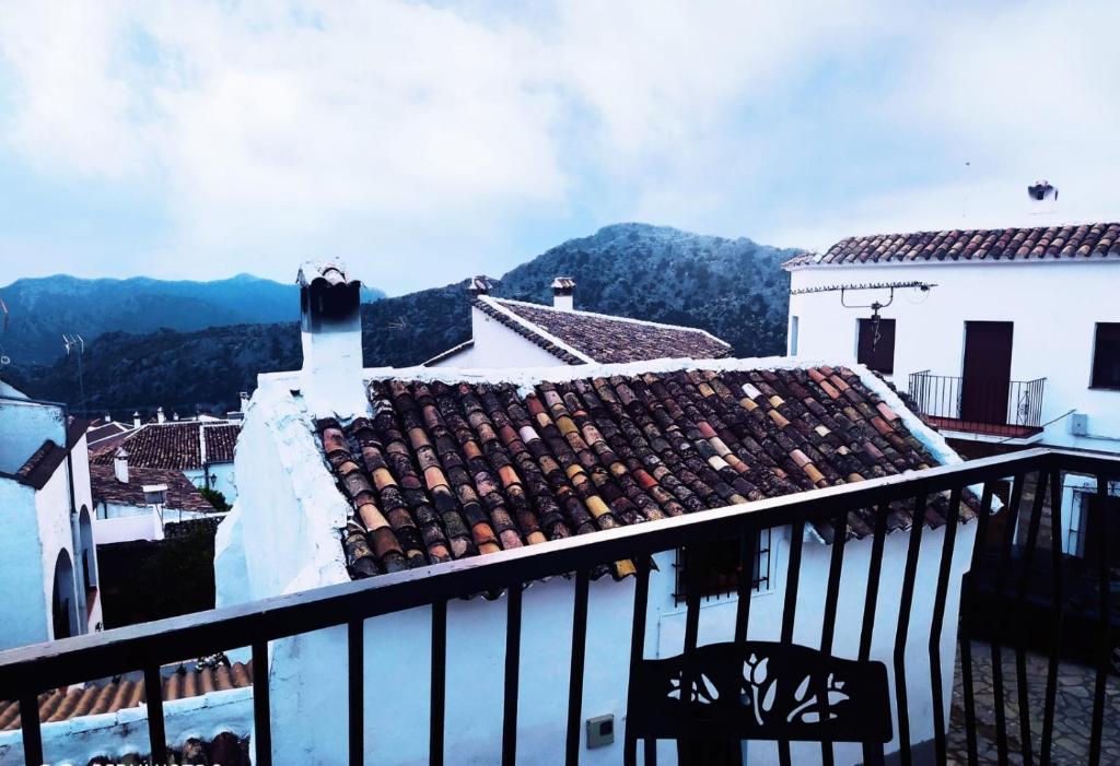 Casa Lola photo 3