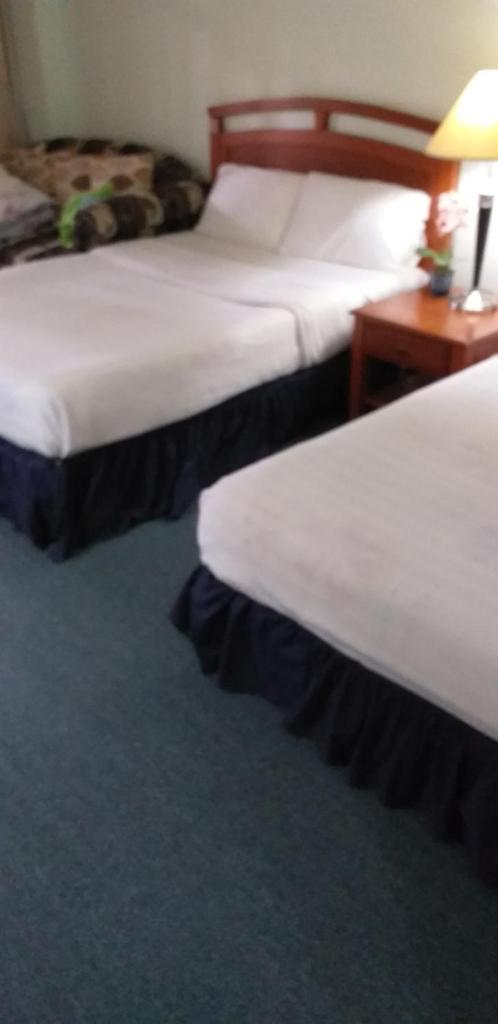 Private Unit Forest Lodge Lodge Camp John Hay photo 1
