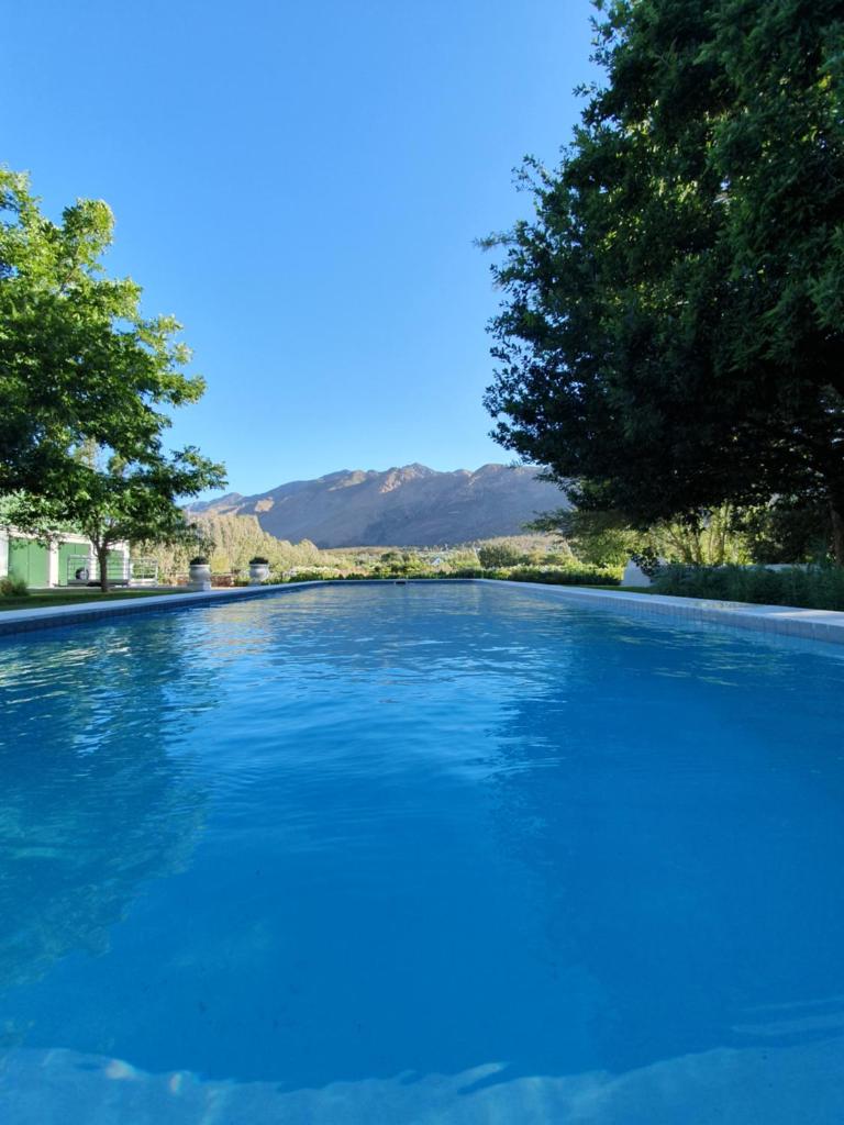 Klein Nektar Wine & Olive Estate photo 3