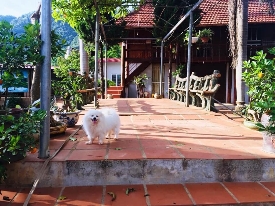 Homstay Sinh thái Cây Sung Mộc Châu