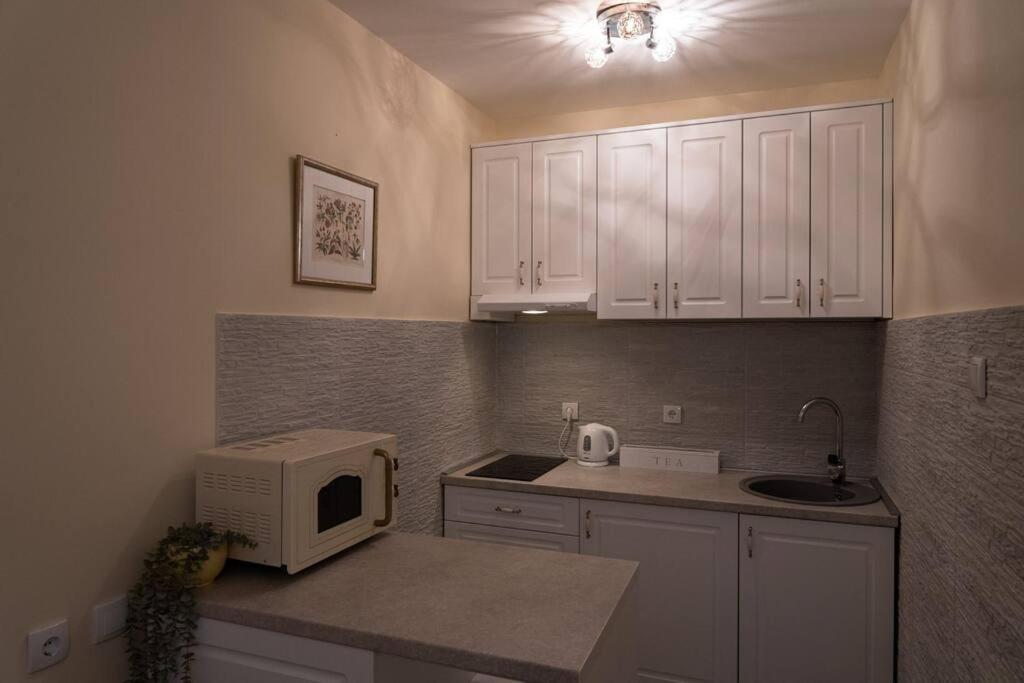 Classico apartment Belgrade photo 4