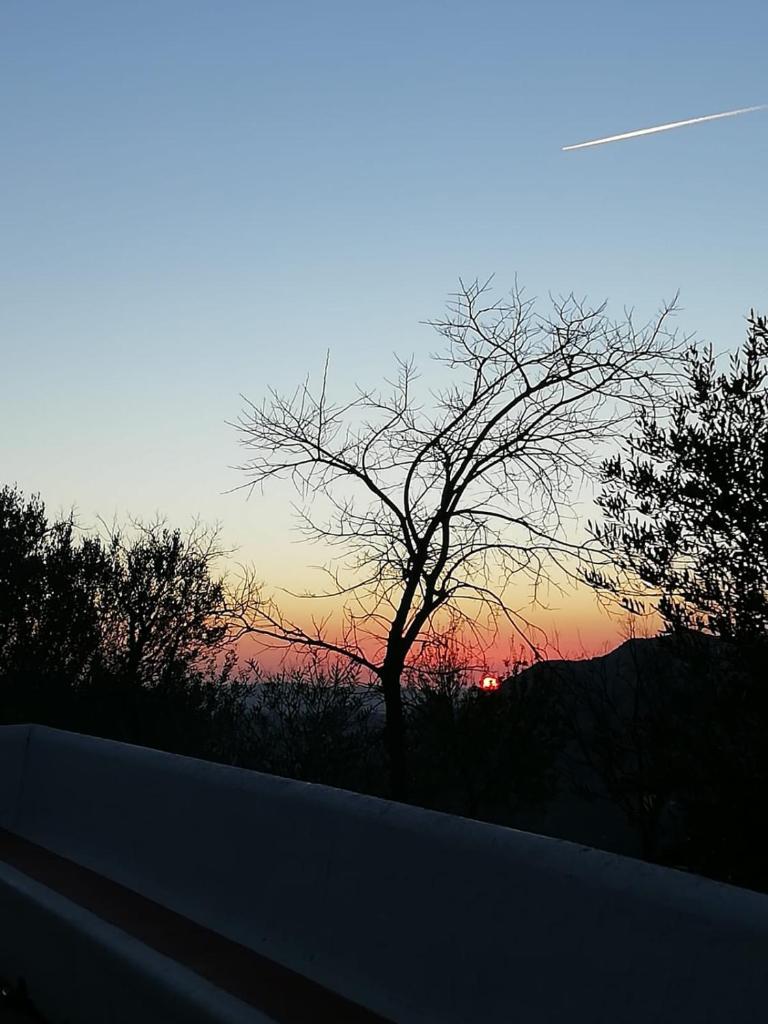 Casa Lola photo 4