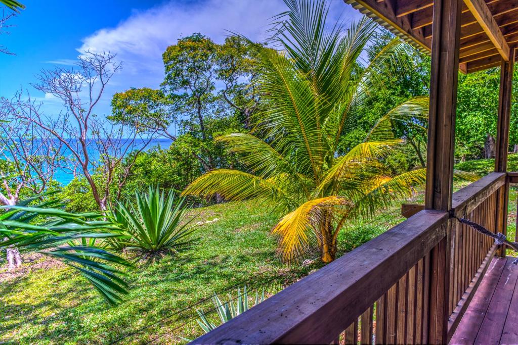 The Resort at Marble Hill photo 4
