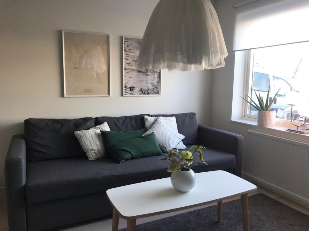 Mysig studiolägenhet i Västra Göteborg photo 1