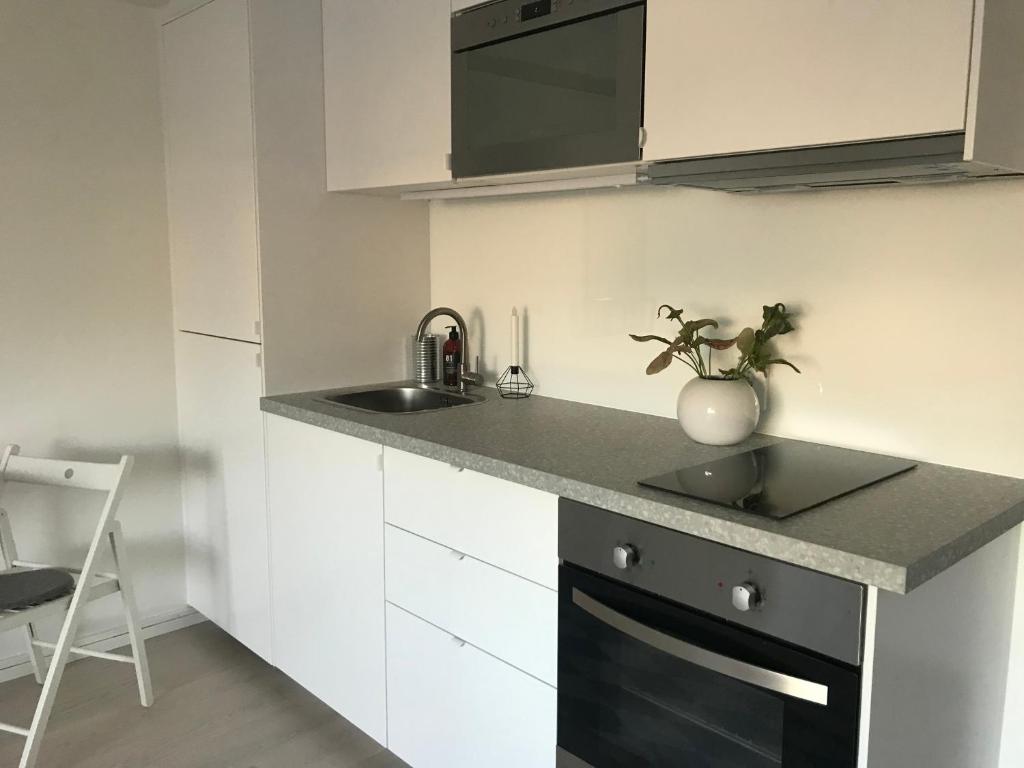 Mysig studiolägenhet i Västra Göteborg photo 2