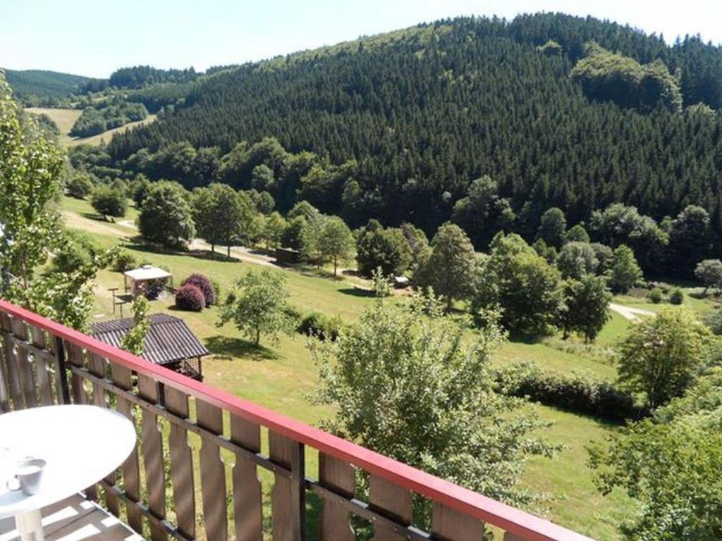 Spacious holiday home with private terrace photo 4