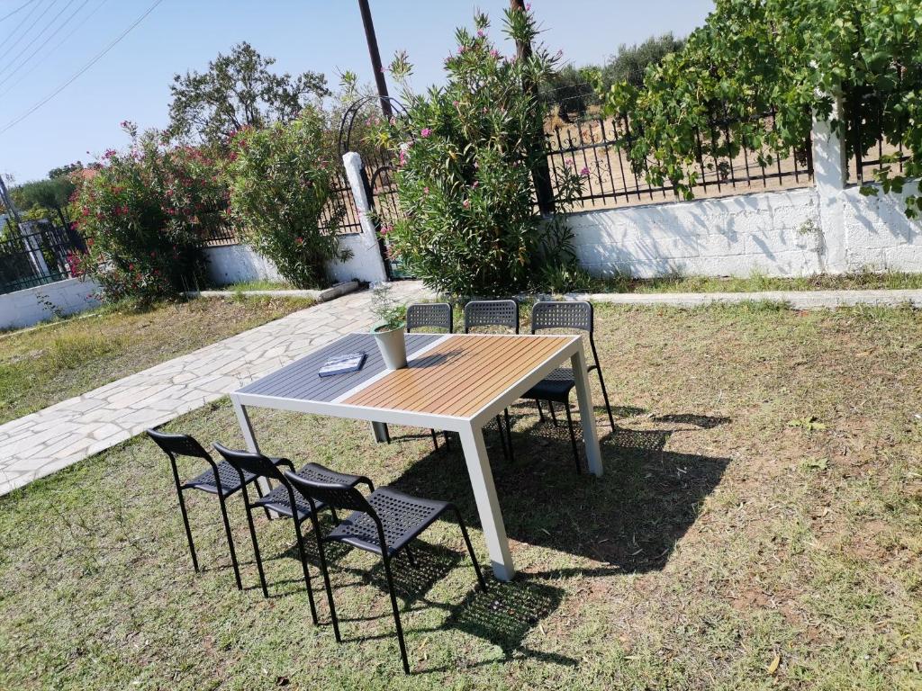 Green Vila photo 3