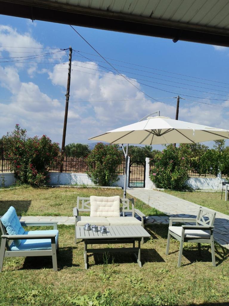 Green Vila photo 2