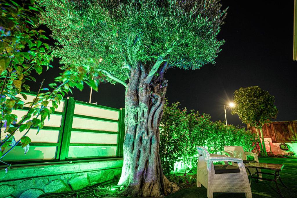 Villa Pomela By Sun And View photo 2