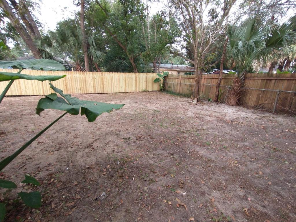 Welcome to Pineapple House! photo 4
