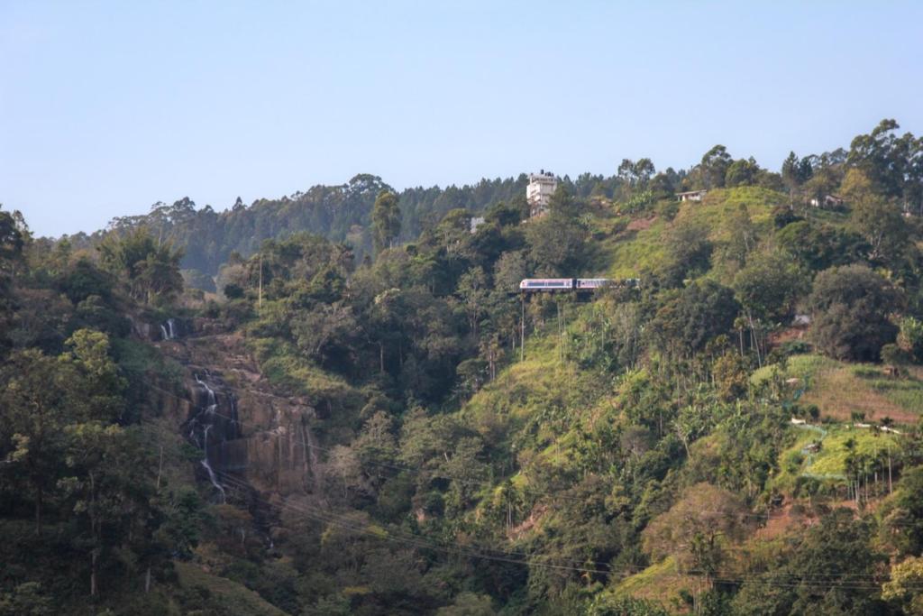 Sunray Homestay photo 3
