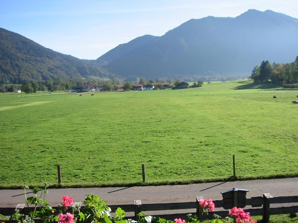 Familien-Bauernhof-Berghammer photo 2