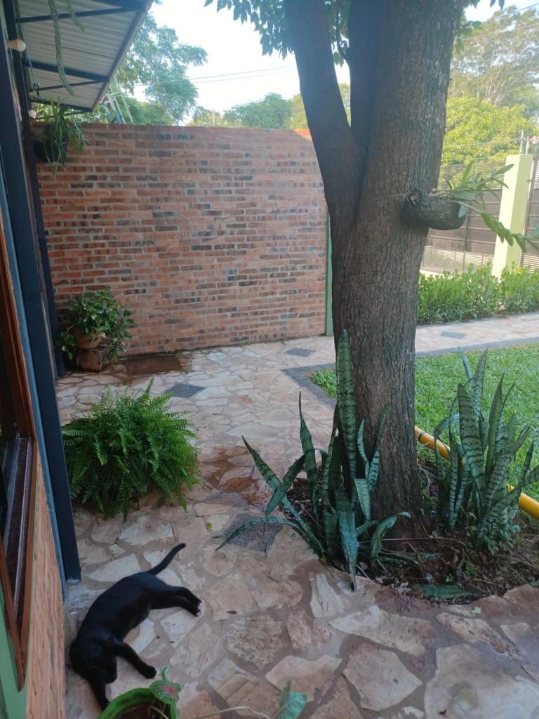 Casa Naranja photo 3