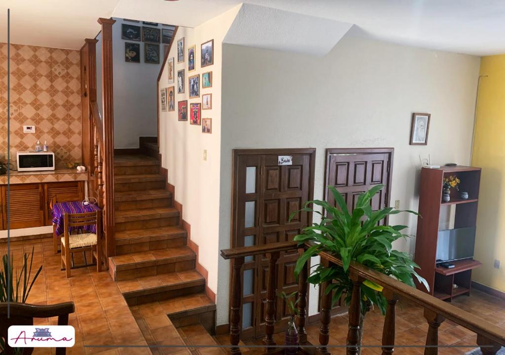 Aruma Cuernavaca photo 3