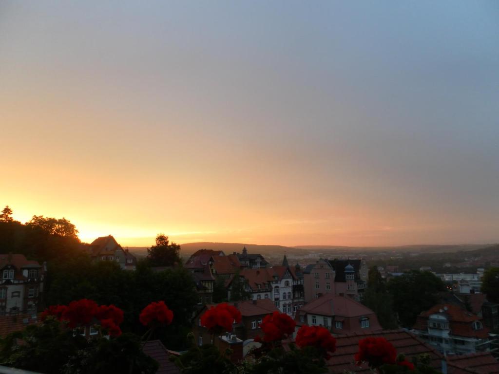 Villa Weitblick photo 3
