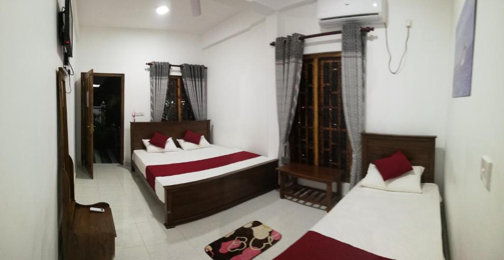 Dive beach palace photo 3