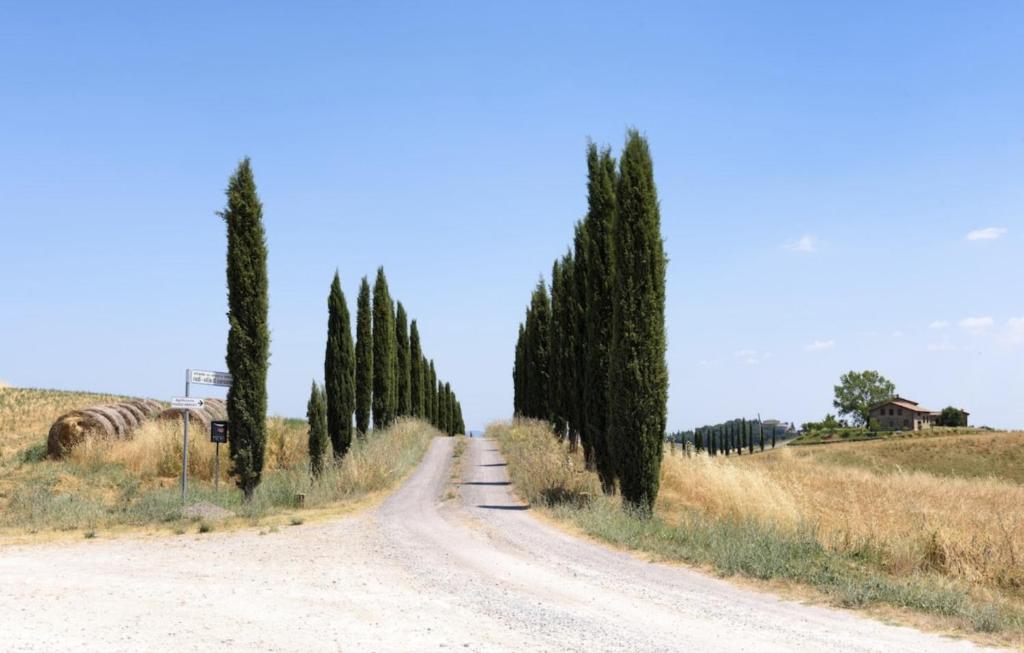 Agriturismo Poggio Repenti photo 2
