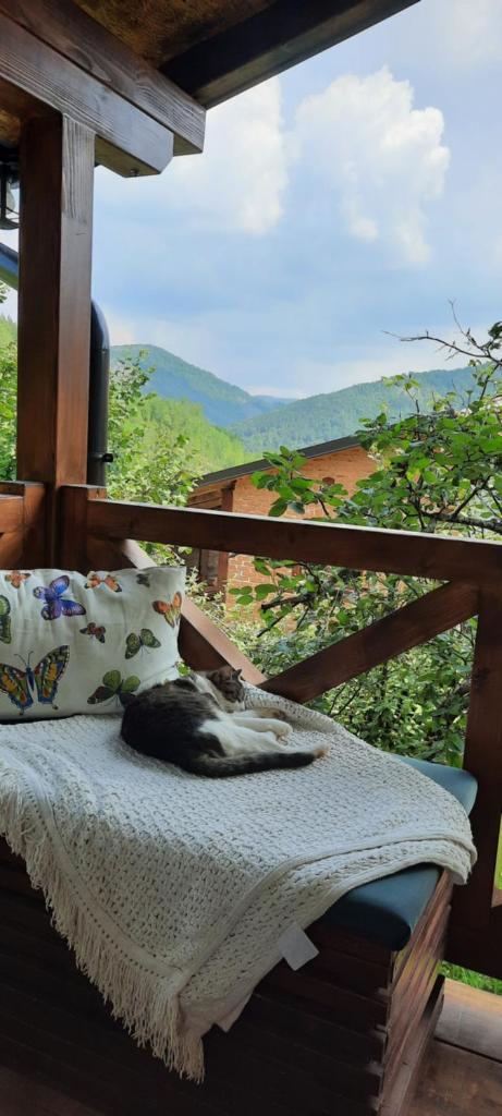 Vila Kovina photo 3