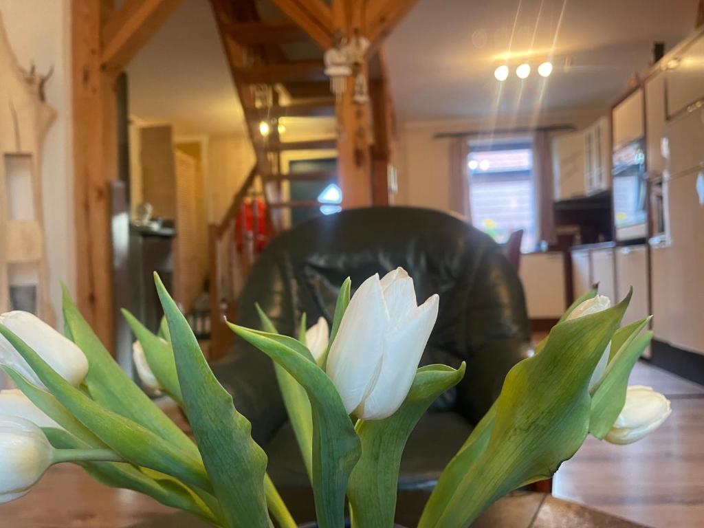 Tannenhaus Hohen Mistorf photo 2