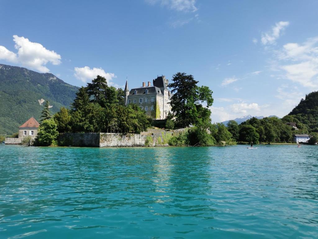 la baie des voiles ,vue lac d'Annecy ,plage privée photo 4