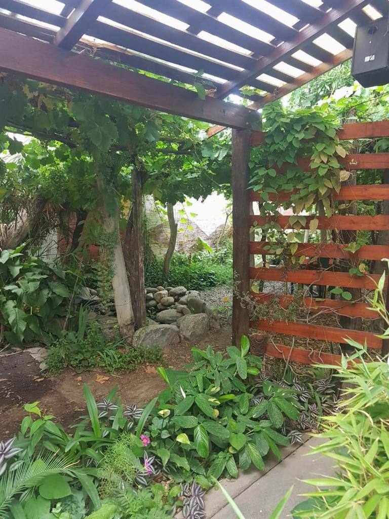 Casa Prana Estudio de Yoga photo 3