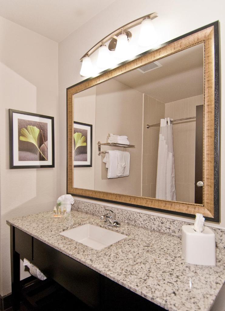 Holiday Inn Austin Airport, an IHG Hotel photo 3