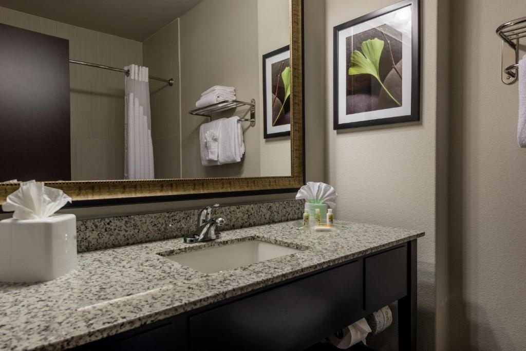 Holiday Inn Austin Airport, an IHG Hotel photo 4
