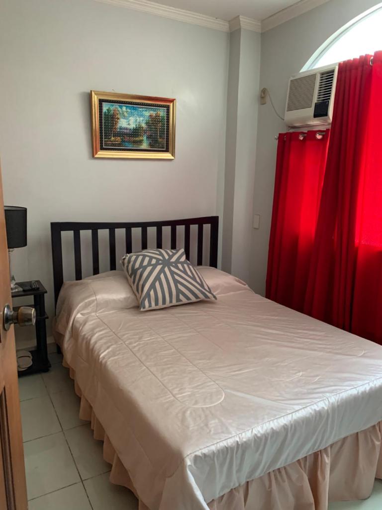 Will Come Home photo 4