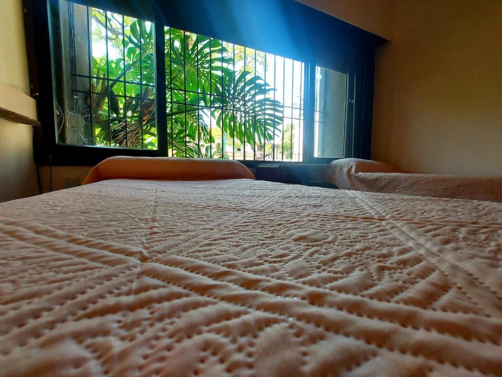 COYA HOSTEL photo 1