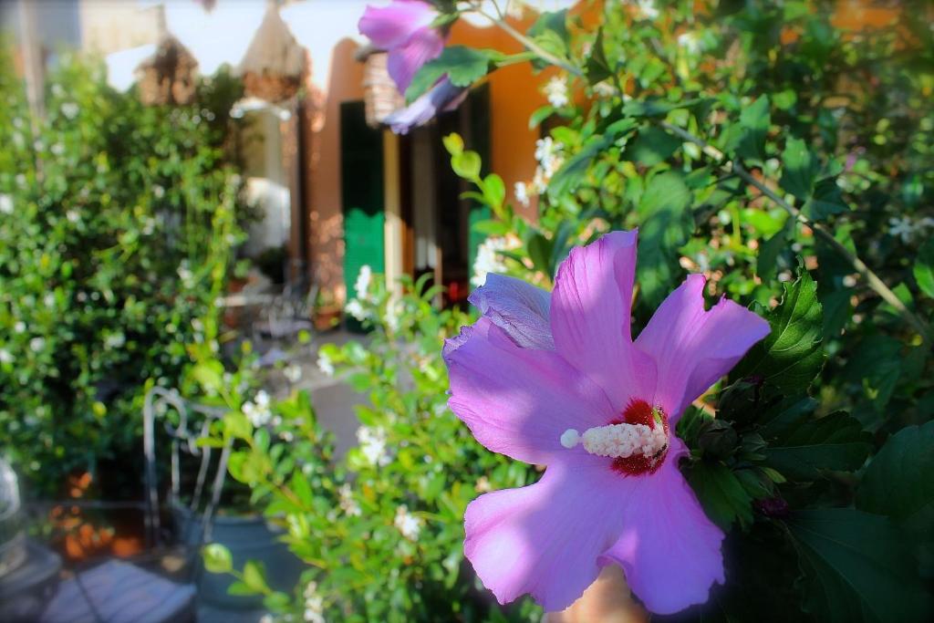 Albergo Al Castello photo 1