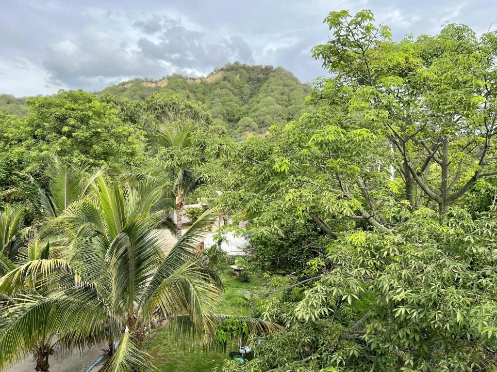 Palmazul Hotel & Spa photo 1