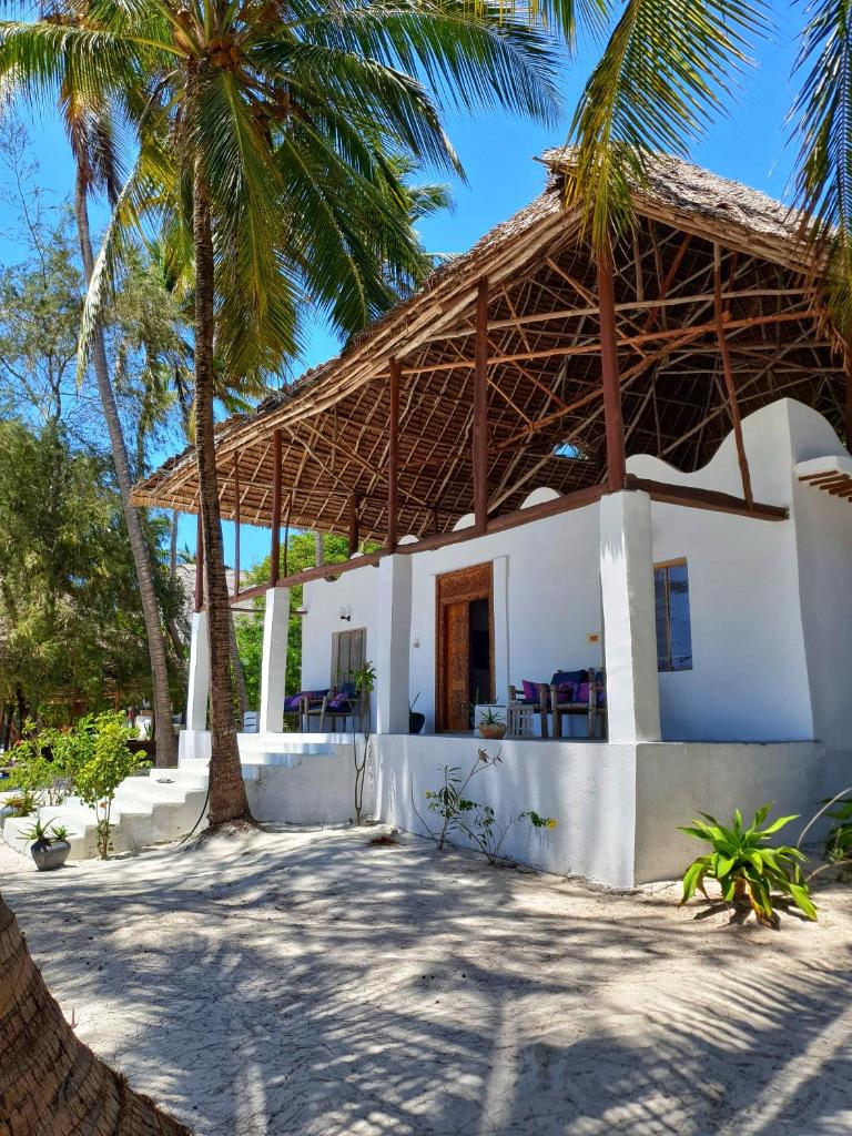 Blue Palm Zanzibar photo 3