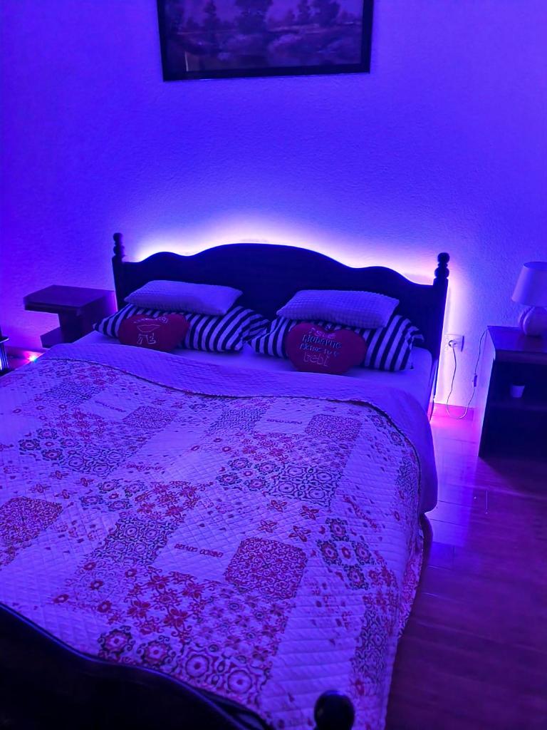 Dalija Apartment photo 2