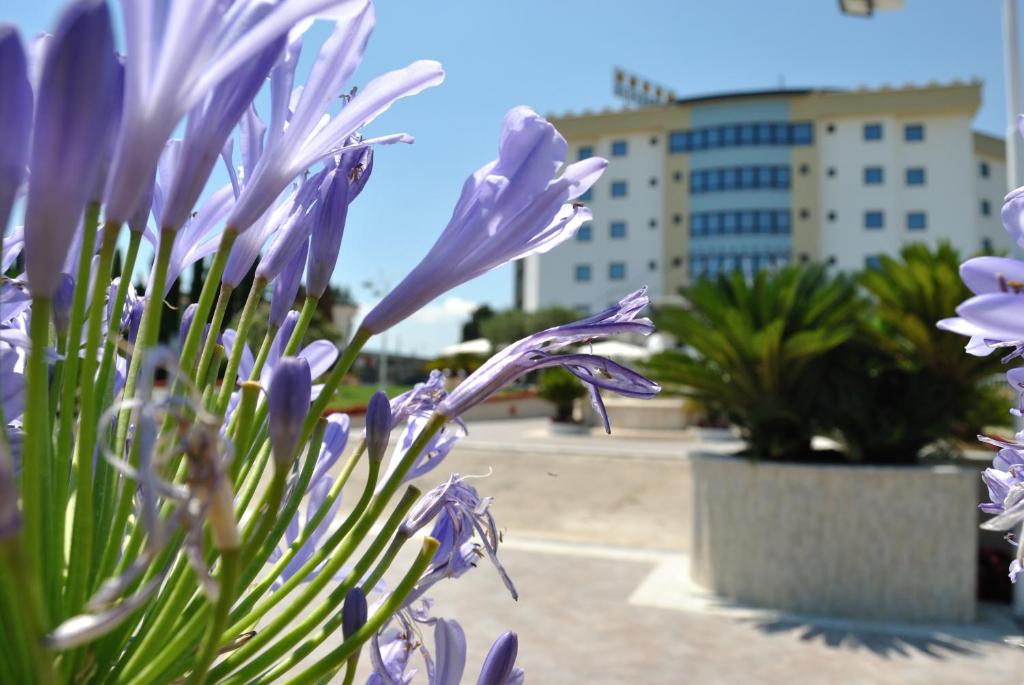 Edra Palace Hotel & Ristorante photo 3