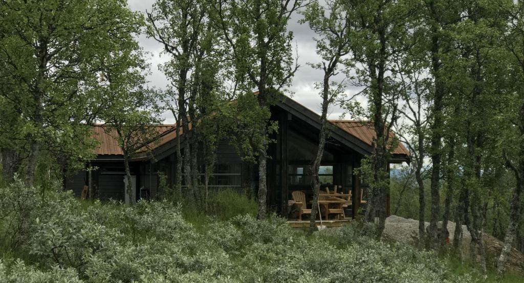 Venehovda - cabin at 1000 masl photo 1