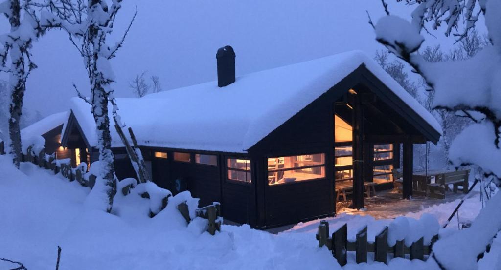 Venehovda - cabin at 1000 masl photo 2