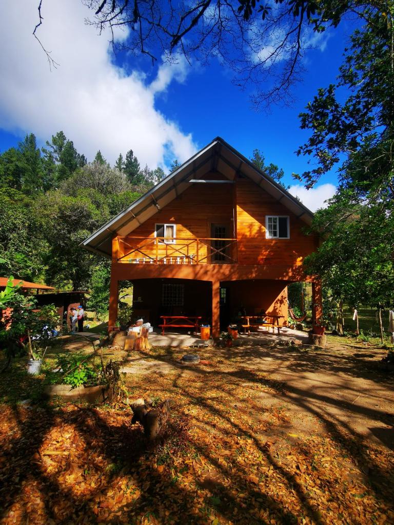 La Yeguada - Forest Point Cabin photo 4