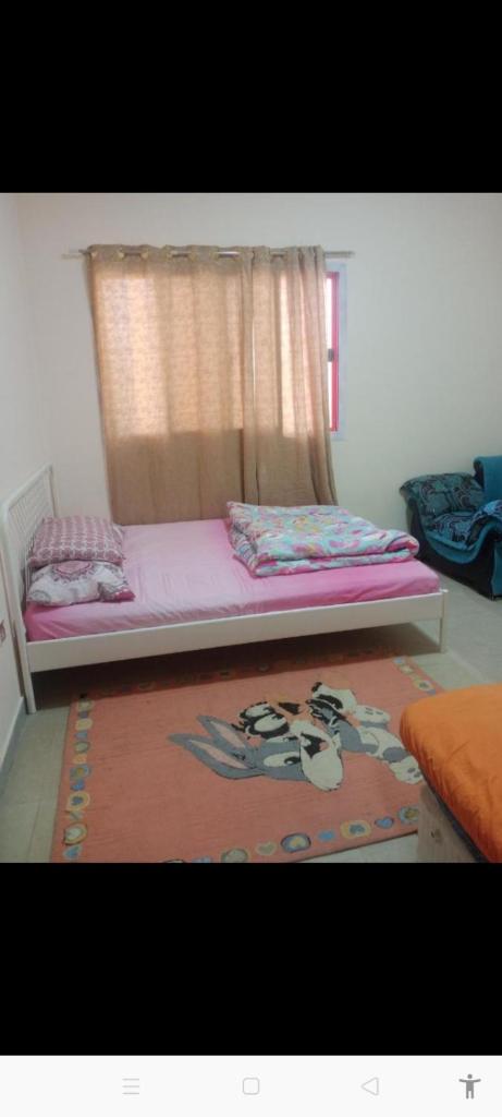 Furnished room in the city of Al ain. Abu Dhabi photo 4