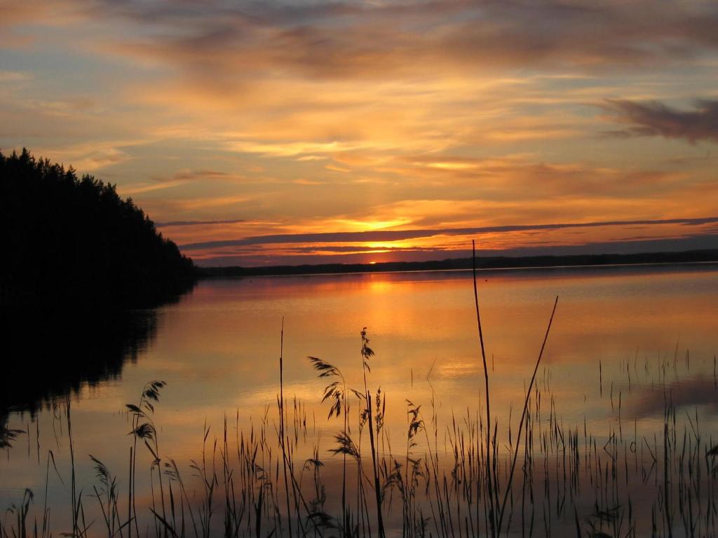 Saimaa Raikala photo 2