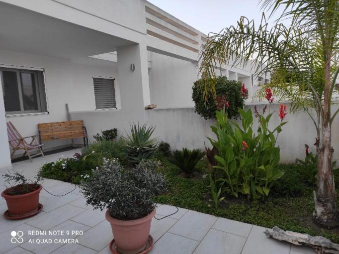 Casa vacanza Torre Dell'Orso San Foca Laghi Alimini Otranto photo 4