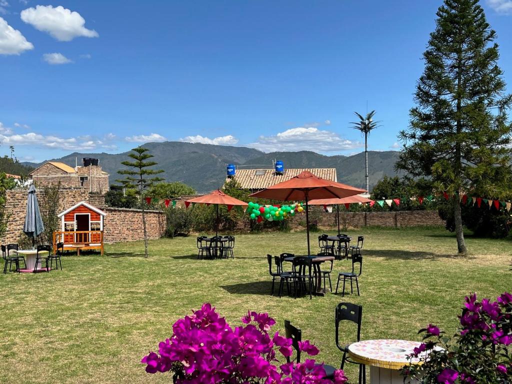CASA ELENA photo 2