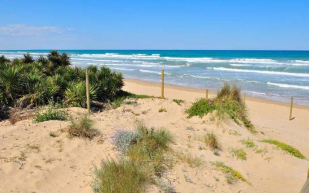 Denia Beach Nature photo 3