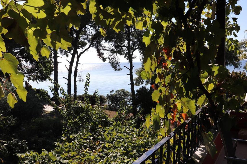 Mathesi Apartment Sea View photo 3
