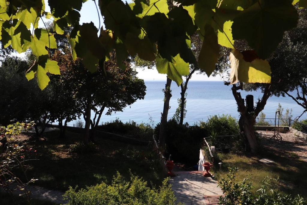 Mathesi Apartment Sea View photo 4