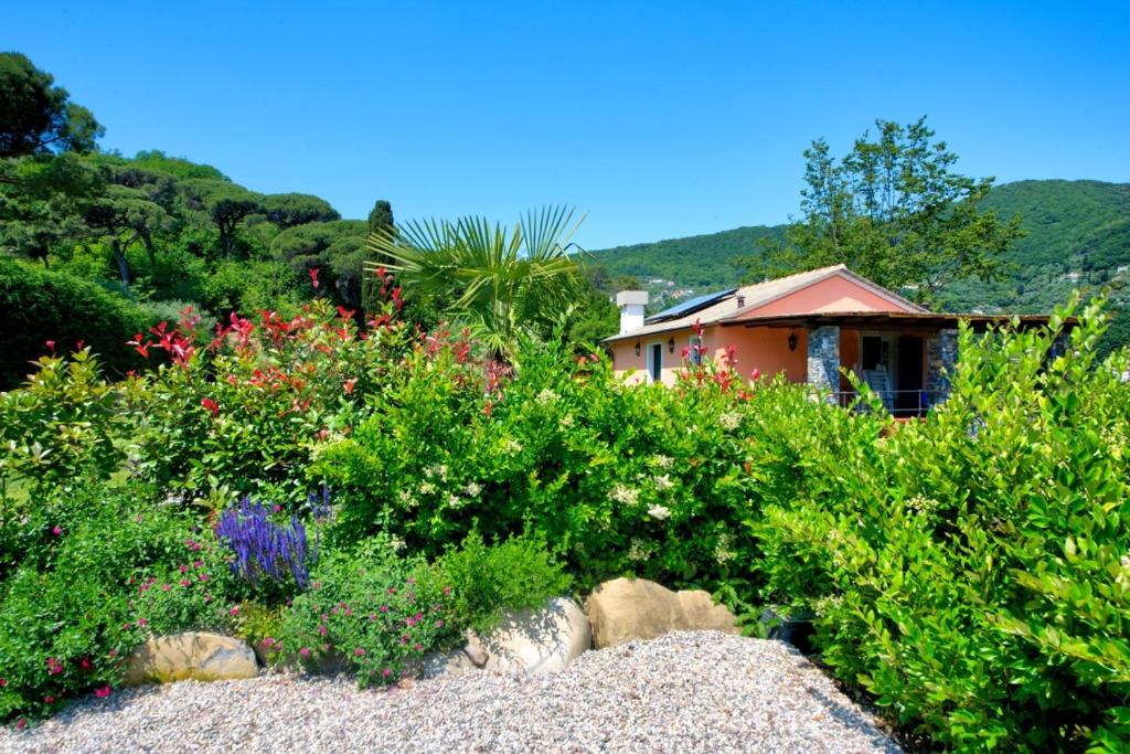 I Giardini di Camogli - VILLA RUMANIN, garden&pool photo 1