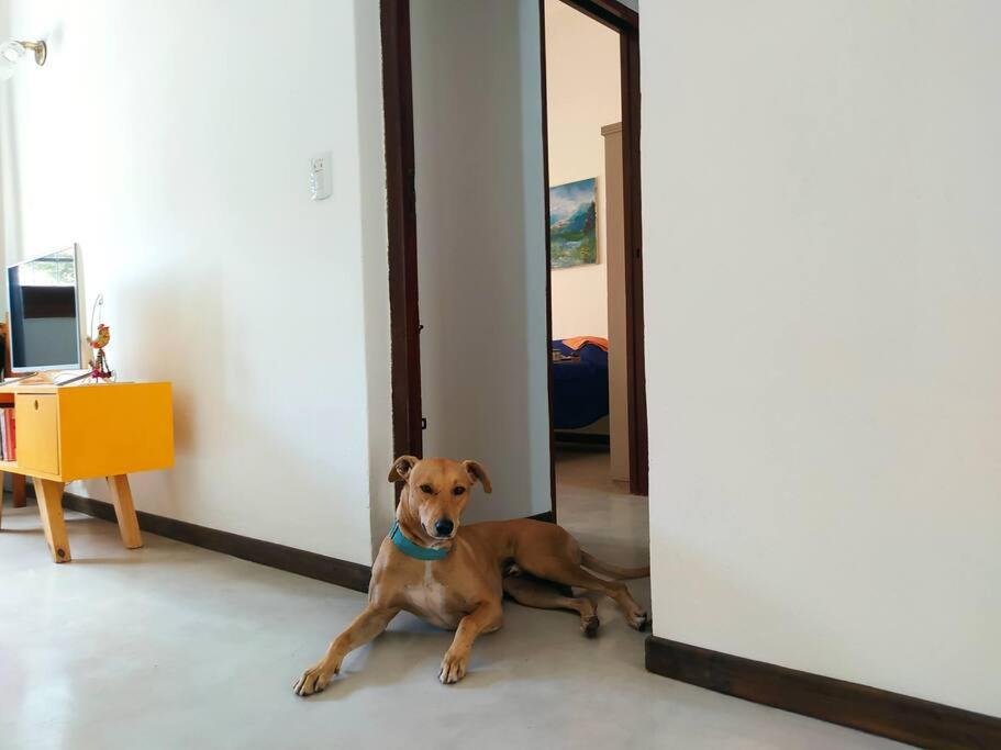 Casa Limón photo 2