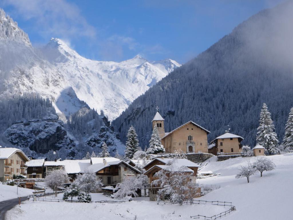 Chalet Bouquetin- Bellecôte 28 to 34 people photo 3