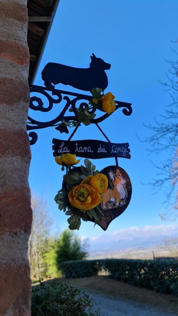 La Tana dei Corgi photo 3