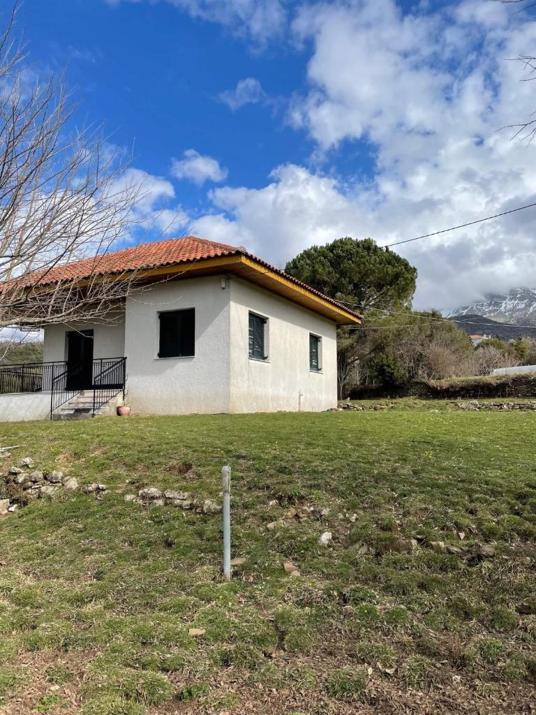 Villa Lochia photo 2