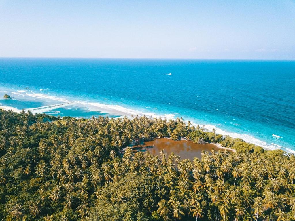 Olive Goidhoo photo 4